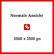 Normale-Ansicht-2500-x-2500.jpg